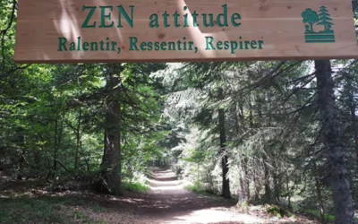 Reconnectez-vous vraiment à la Nature !