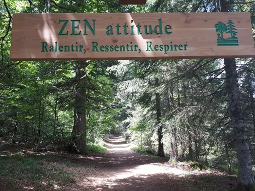 Reconnectez-vous vraiment à la Nature !